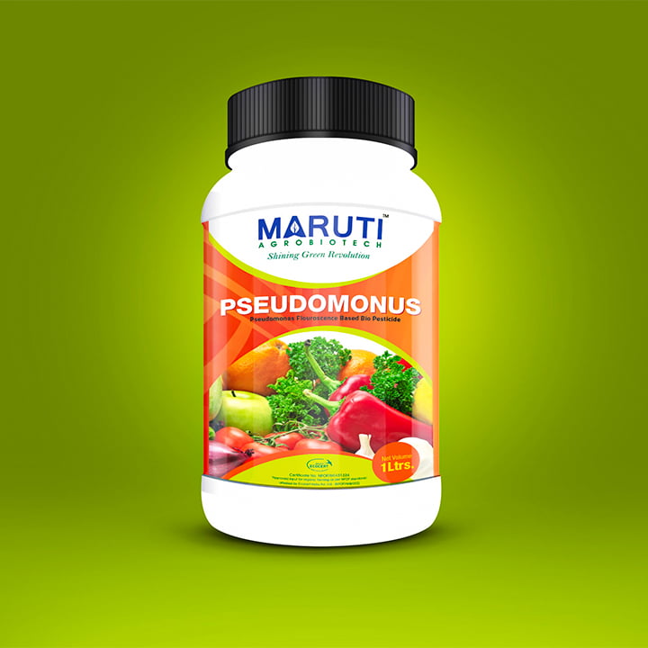 MARUTI PSEUDOMONOUS