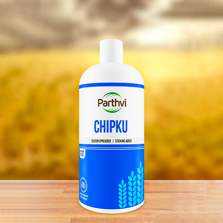 Parthvi Chipku